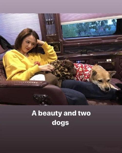 艾伦爆料生活视频,揭秘明星幕后趣事 第3张 艾伦爆料生活视频,揭秘明星幕后趣事 第3张