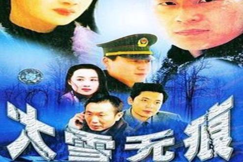 大雪无痕在线观看,探寻网络世界的神秘之旅 第2张 大雪无痕在线观看,探寻网络世界的神秘之旅 第2张