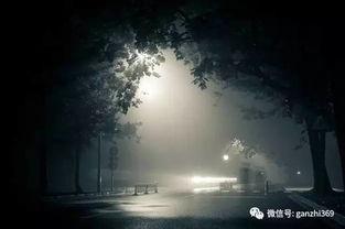 深夜书店3手机在线观看,手机在线观看,揭秘神秘书卷背后的奇幻之旅 第3张 深夜书店3手机在线观看,手机在线观看,揭秘神秘书卷背后的奇幻之旅 第3张