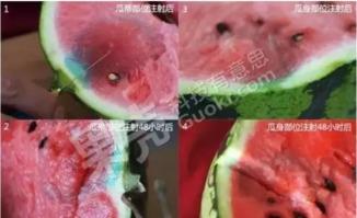 爆料西瓜特效怎么做视频,轻松打造吸睛短视频