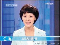 央视一套直播在线观看  第2张