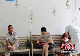 潢川县出轨爆料新闻,真相揭露，道德底线再受冲击