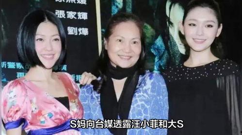 大s妈最新爆料,揭秘大S婚姻背后的惊人真相