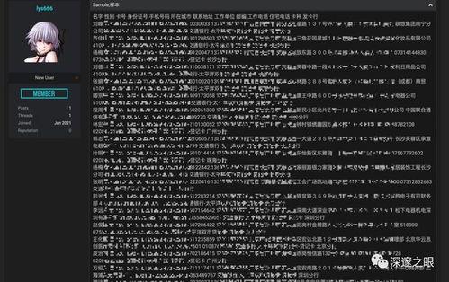 黑客最新爆料电话是多少,黑客最新爆料，神秘电话号码引发网络热议！  第2张