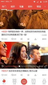 解读最新爆料视频下载,深度解析事件背后真相 第1张 解读最新爆料视频下载,深度解析事件背后真相 第1张