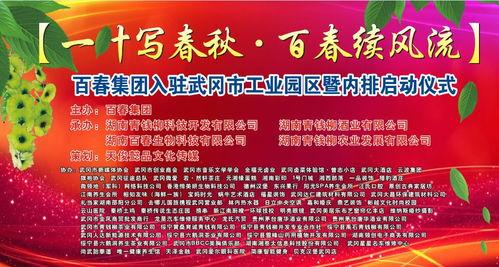 武冈新闻爆料事件最新,真相追踪与舆论漩涡  第3张