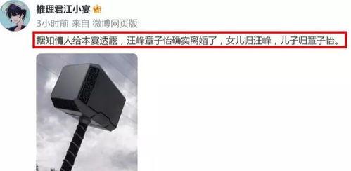 赵本山徒弟爆料汪峰视频,背后故事令人震惊