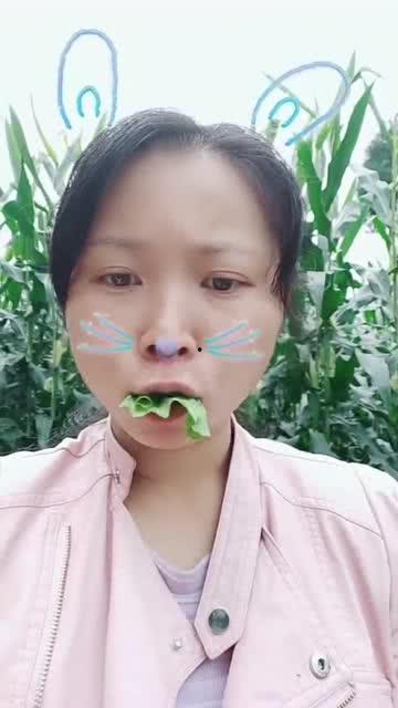 青草草在线观看,探寻青春记忆的绿意盎然 第2张 青草草在线观看,探寻青春记忆的绿意盎然 第2张
