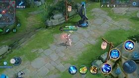 小鞠爆料武陵仙君视频,小鞠揭秘神秘背景与技能亮点