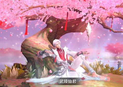小鞠爆料武陵仙君视频,小鞠揭秘神秘背景与技能亮点 第3张 小鞠爆料武陵仙君视频,小鞠揭秘神秘背景与技能亮点 第3张