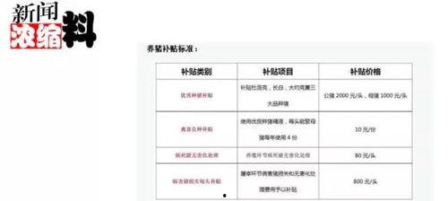 猪价最新爆料新闻视频,最新爆料视频深度解析  第1张