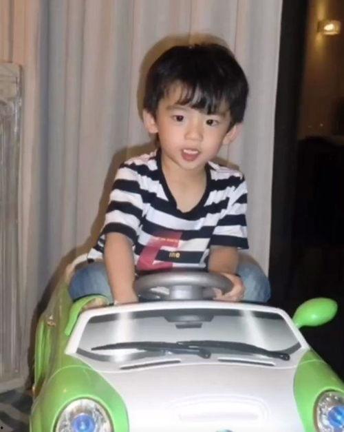 谢振轩爆料谢霆锋视频,揭秘娱乐圈幕后真相 第2张 谢振轩爆料谢霆锋视频,揭秘娱乐圈幕后真相 第2张