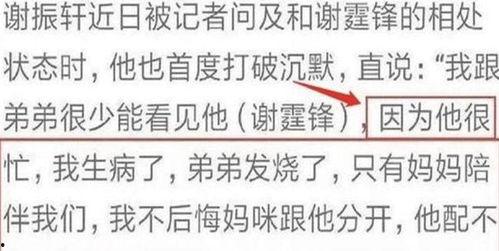 谢振轩爆料谢霆锋视频,揭秘娱乐圈幕后真相 第3张 谢振轩爆料谢霆锋视频,揭秘娱乐圈幕后真相 第3张