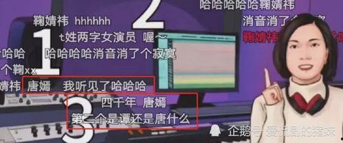 爆料的声音配音视频,独家爆料视频深度解析