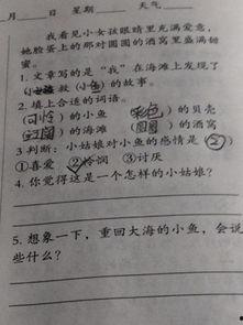 四体 在线观看,探寻人类起源与进化奥秘的在线之旅