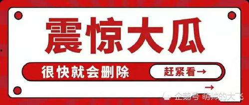娱乐圈吃瓜用语大全,揭秘明星圈内的“暗语”与“黑话”  第2张