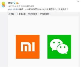 微信免费吃瓜最新入口链接,一键解锁瓜界狂欢 第2张 微信免费吃瓜最新入口链接,一键解锁瓜界狂欢 第2张