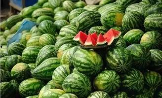 泰蜜西瓜爆料视频大全,视频大全揭秘幕后故事 第2张 泰蜜西瓜爆料视频大全,视频大全揭秘幕后故事 第2张