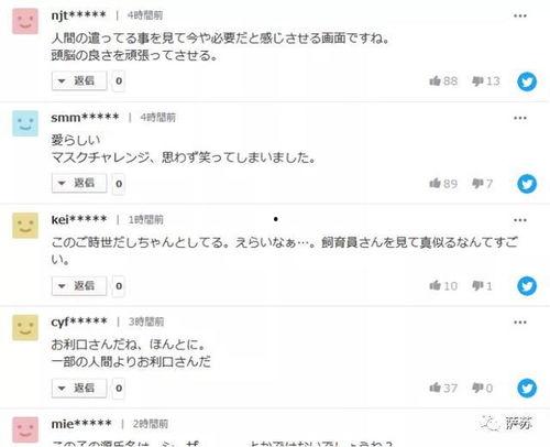 吃瓜网红戴口罩视频,神秘面纱下的网络热议 第2张 吃瓜网红戴口罩视频,神秘面纱下的网络热议 第2张