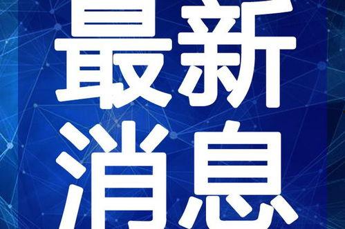 赵阿姨最新爆料消息视频,揭秘视频背后的惊人真相！