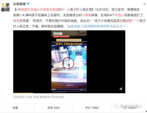 金海高中爆料事件视频大全,视频大全揭秘校园风云 第1张 金海高中爆料事件视频大全,视频大全揭秘校园风云 第1张