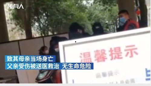 金海高中爆料事件视频大全,视频大全揭秘校园风云 第3张 金海高中爆料事件视频大全,视频大全揭秘校园风云 第3张