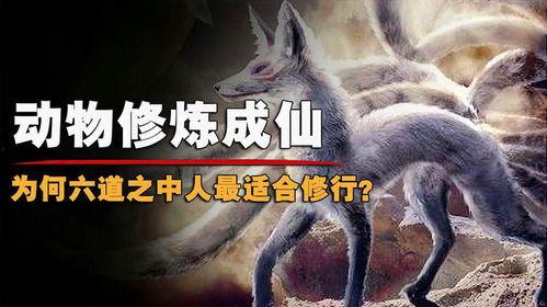 大残狐狸被爆料视频,揭秘娱乐圈背后真相  第2张