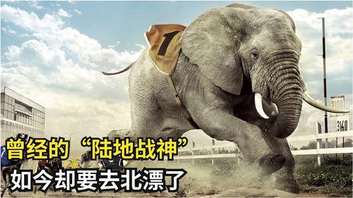 大残狐狸被爆料视频,揭秘娱乐圈背后真相  第3张
