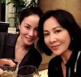 刘嘉玲爆料喝醉视频,揭秘娱乐圈不为人知的真实一面 第1张 刘嘉玲爆料喝醉视频,揭秘娱乐圈不为人知的真实一面 第1张