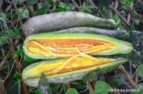 丽水银泰吃瓜网红,揭秘网络红人的幕后真相  第2张