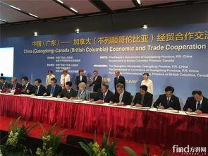 加拿大高管爆料新闻报道,揭秘企业真实面貌