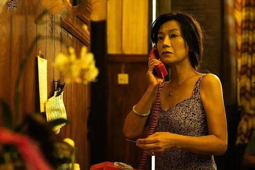 天涯爆料五嫂视频大全,天涯爆料背后的真实故事  第3张