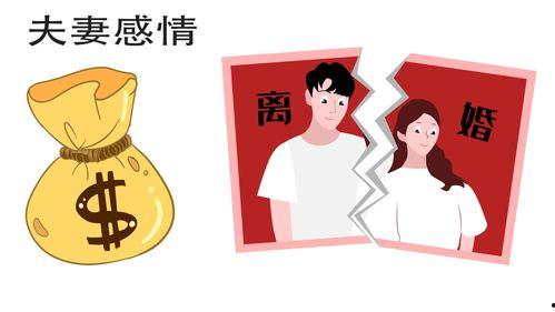爆料情人案例大全视频,视频大全中的情感纠葛与警示