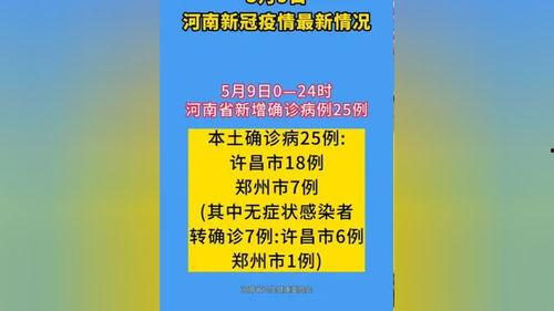 河南时事爆料最新消息今天,揭秘XX事件背后真相  第2张