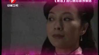 青盲电视剧在线观看,揭秘暗网风云，在线观看解锁悬疑之门  第2张