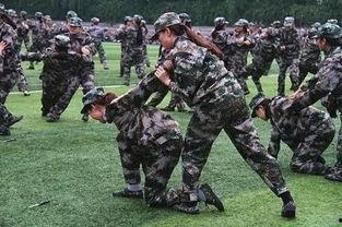 军训爆料瞬间视频大全,热血沸腾的青春风采集锦  第2张