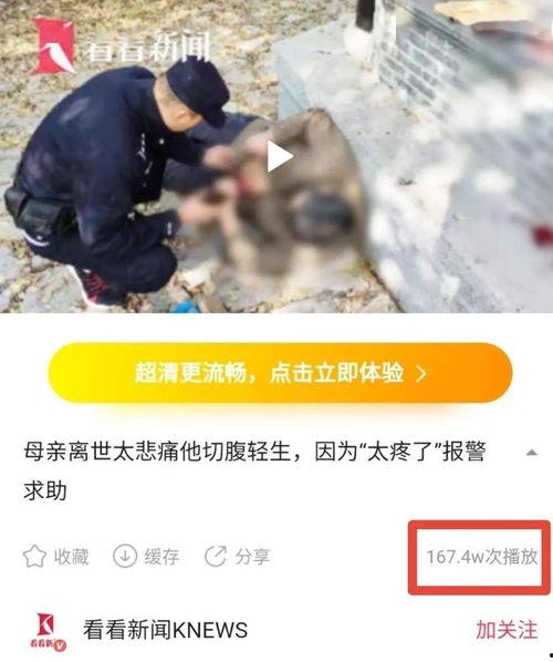 梨视频爆料的新闻,揭秘某事件背后真相  第3张 梨视频爆料的新闻,揭秘某事件背后真相  第3张