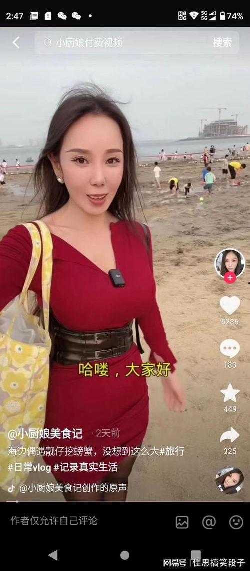 小厨娘美食记爆料视频,揭秘独家爆料视频中的美味佳肴  第2张