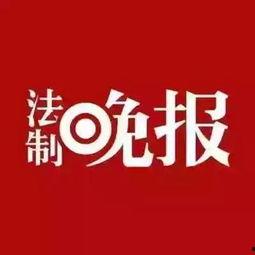趣事新闻爆料网站有哪些,揭秘热门趣事新闻爆料网站大盘点