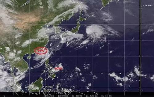 最新爆料台风事件视频  第2张