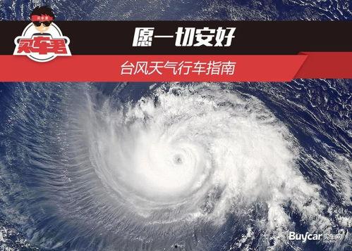 最新爆料台风事件视频  第3张