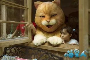 永康爆料猫夫人出轨视频