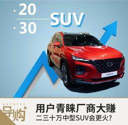三十万suv最新爆料,最新爆料揭示颠覆性变革  第2张