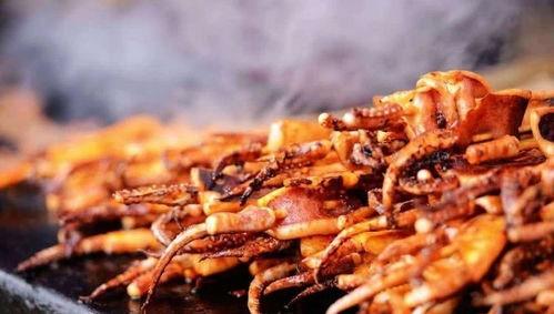 街头鱿鱼爆料怎么做视频,揭秘视频制作全攻略  第2张