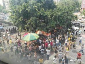 爆料游泳溺亡视频播放大全,游泳溺亡视频大盘点  第1张