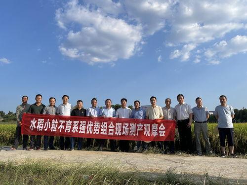 湖南农村爆料新闻事件